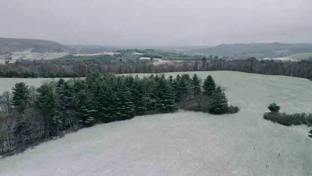 winter landscape with snow