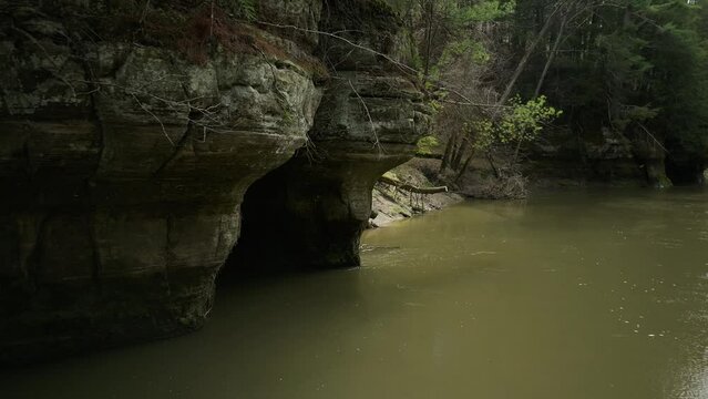 river in the forest