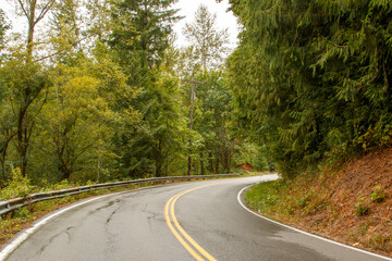 Obraz premium A curving forest road -SE High Point Way in rural eastern King County Washington