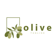 Olive Logo, Vector Design Premium Template Vector Illustration