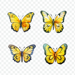 Butterfly transparency vector graphic element