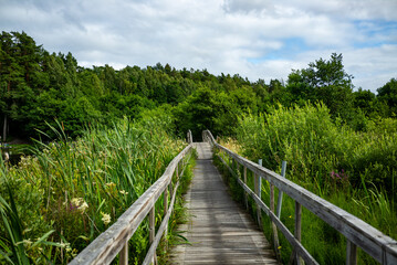 Fototapeta na wymiar bridge over a swamp area near lake vaettern in habo, sweden