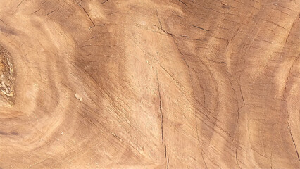 wood texture with empty space. wooden background