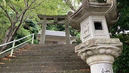 日本の風景　神社・参道・鳥居・石灯籠
