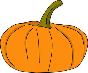 pumpkin on a white background