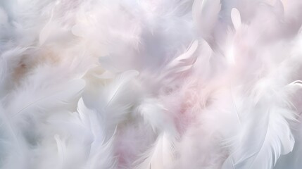 White and light pink silk feathers background under soft light, Soft chiffon curve wave.