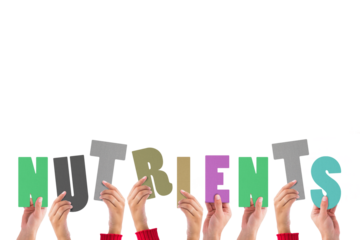 Digital png illustration of diverse hands holding nutrients text on transparent background