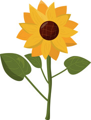 Sunflower flat illustration isolated on white background