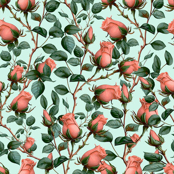 Rose Pattern