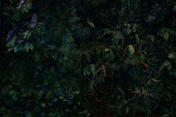 Creative nature green background, tropical leaf banner or floral jungle pattern concept.	
