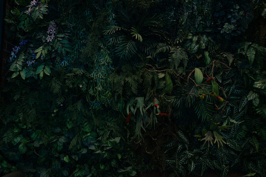 Creative nature green background, tropical leaf banner or floral jungle pattern concept.	
