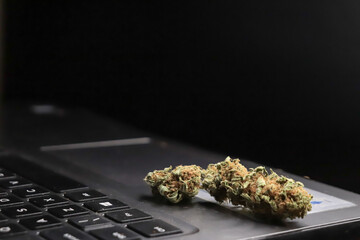 marijuana joint and buds. smoke relax