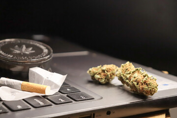 marijuana joint and buds. smoke relax