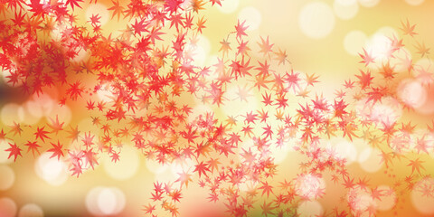 紅葉　もみじ　秋　背景