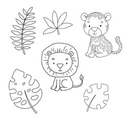 Cute sitting cheetah, lion and leaves. Outline illustrations set for kids. Line safari animal for coloring page.