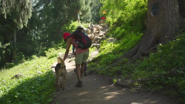 Traveler Man trekker with him dog walk around mountains in sunny day. Backpacker walking in Outdoors. Health care, authenticity, sense of balance and calmness, Uttarakhand, india.

