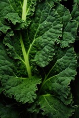 Close-Up of Kale Leaves AI Generated