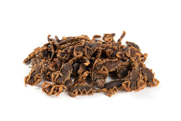 Dried scorpion isolated on White Background