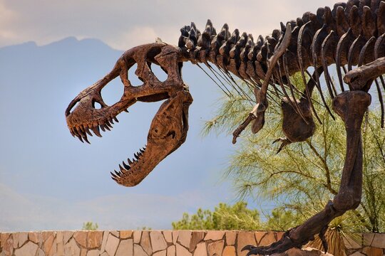 dinosaurs in the grass