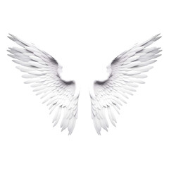 Angel wings on transparent background. Generative ai design png concept.