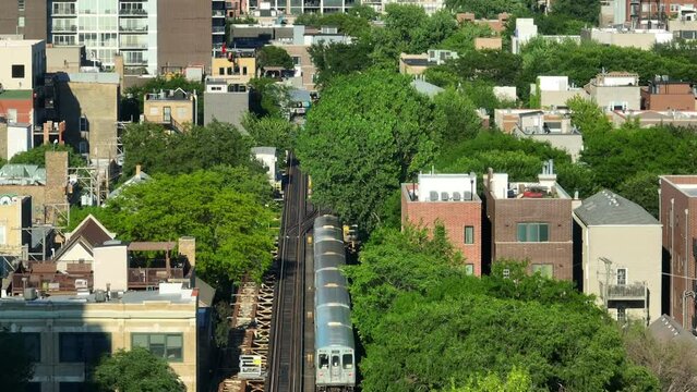 L train in downtown Chicago during summer. Long aerial shot of elevated passenger subway train. Tracks surrounded by mature green trees and houses in city.