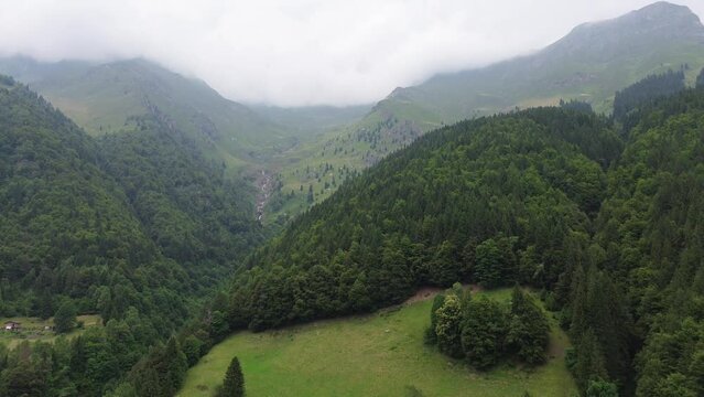 Lines and walks in drone of the scouts group helps to know yourself. The youngest most beautiful experiences