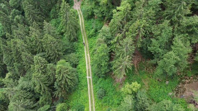 Lines and walks in drone of the scouts group helps to know yourself. The youngest most beautiful experiences