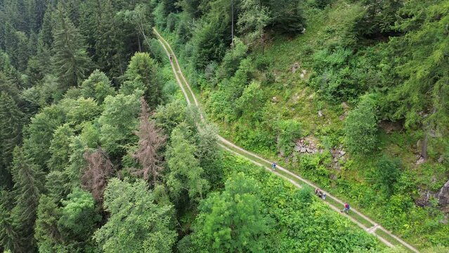 Lines and walks in drone of the scouts group helps to know yourself. Into the wild life