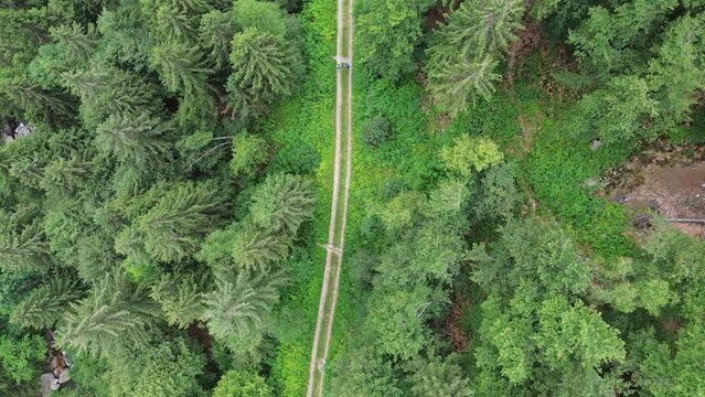 Lines and walks in drone of the scouts group helps to know yourself, seeking the wild life.