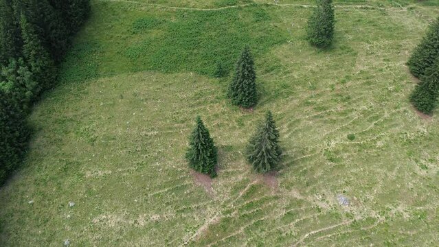 Lines and walks in drone of the scouts group helps to know yourself