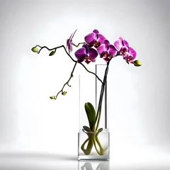 Fotobehang orchid flower © Ifra