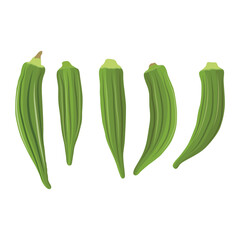 Vecktor illustration of Okra, Okura Okazu, ladyfinger, bamia or Bhindi. Fresh green vegetable, asian cooking ingredient. Whole and sclice. Healthy vegetarian food. Flat vector in cartoon style.