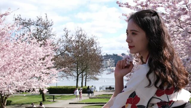 Canada Vancouver all people are photographed in parks against the backdrop of cherry blossoms a girl in beautiful embroidered oriental blouse is leaning on a bridge