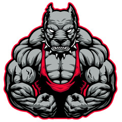 angry strong bodybuilder dog pitbull shows muscles, vector, logo, cartoon, mascot, character, illustration