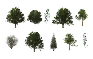 Fototapeta premium Realistic side view trees, shrub, bamboo