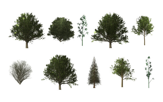 Realistic side view trees, shrub, bamboo