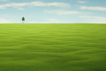 freshness nature growth grass spring turf outdoors background plant field honed golf blade lawn yard Perfect summer field grass land soccer play gardening sport area course green golf cutting view