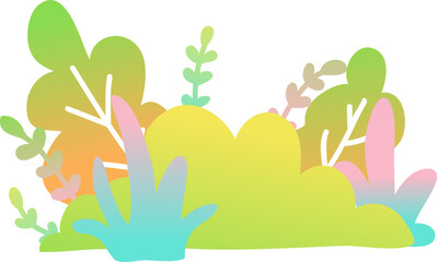 Collection Plant Illustration