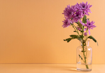 Purple flowers in glass vase and copy space on orange background