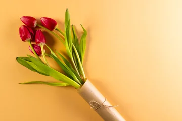  Bunch of red tulips and copy space on orange background © vectorfusionart