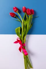 Keuken foto achterwand Vertical image of bunch of red tulips and copy space on blue and white background © vectorfusionart