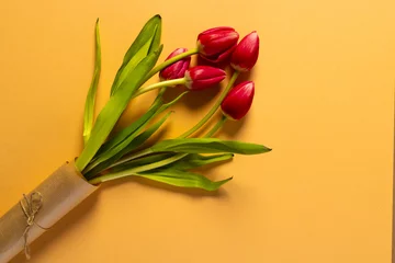 Schilderijen op glas Bunch of red tulips and copy space on orange background © vectorfusionart