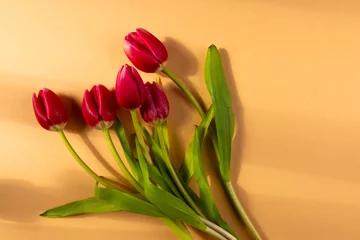 Tuinposter Bunch of red tulips and copy space on orange background © vectorfusionart