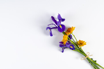 Bunch of purple and yellow flowers with copy space on white background