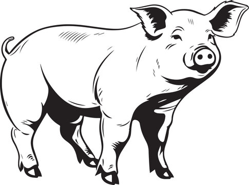 Pig in full length, pig icon, Farm animal, Vector Illustration, SVG