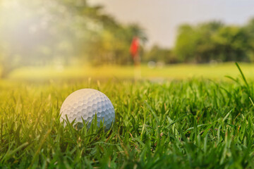 Golf ball is placed on a sunlit green.