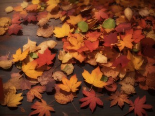 autumn leaves background