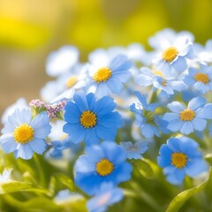 Majestic Forget me not background