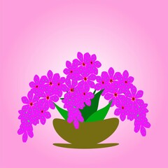 Pink Orchid in Vase Illustration Background