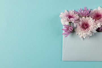 White and pink flowers in white envelope and copy space on blue background